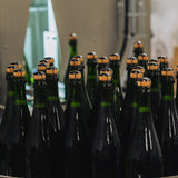 Winery Tour and Tasting Experience