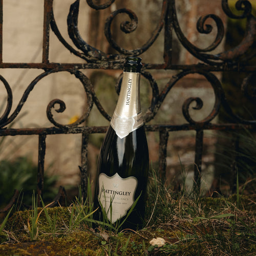 A bottle of Hattingley Valley Blanc De Blanc in grass in front of an ornate black wrought iron gate.