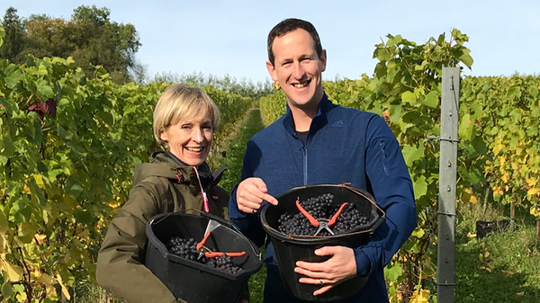 Susie and Peters Big English Wine Adventure, Masters of Wine, Hattingley Valley Collaboration 