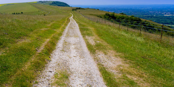Visit the South Downs National Park Visit Hampshire things to do outside of London