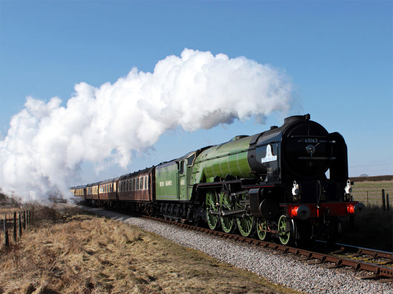Alresford Watercress Line, Steam Train, Local Hampshire Attractions, Visit Hattingley Valley Wines and plan your trip