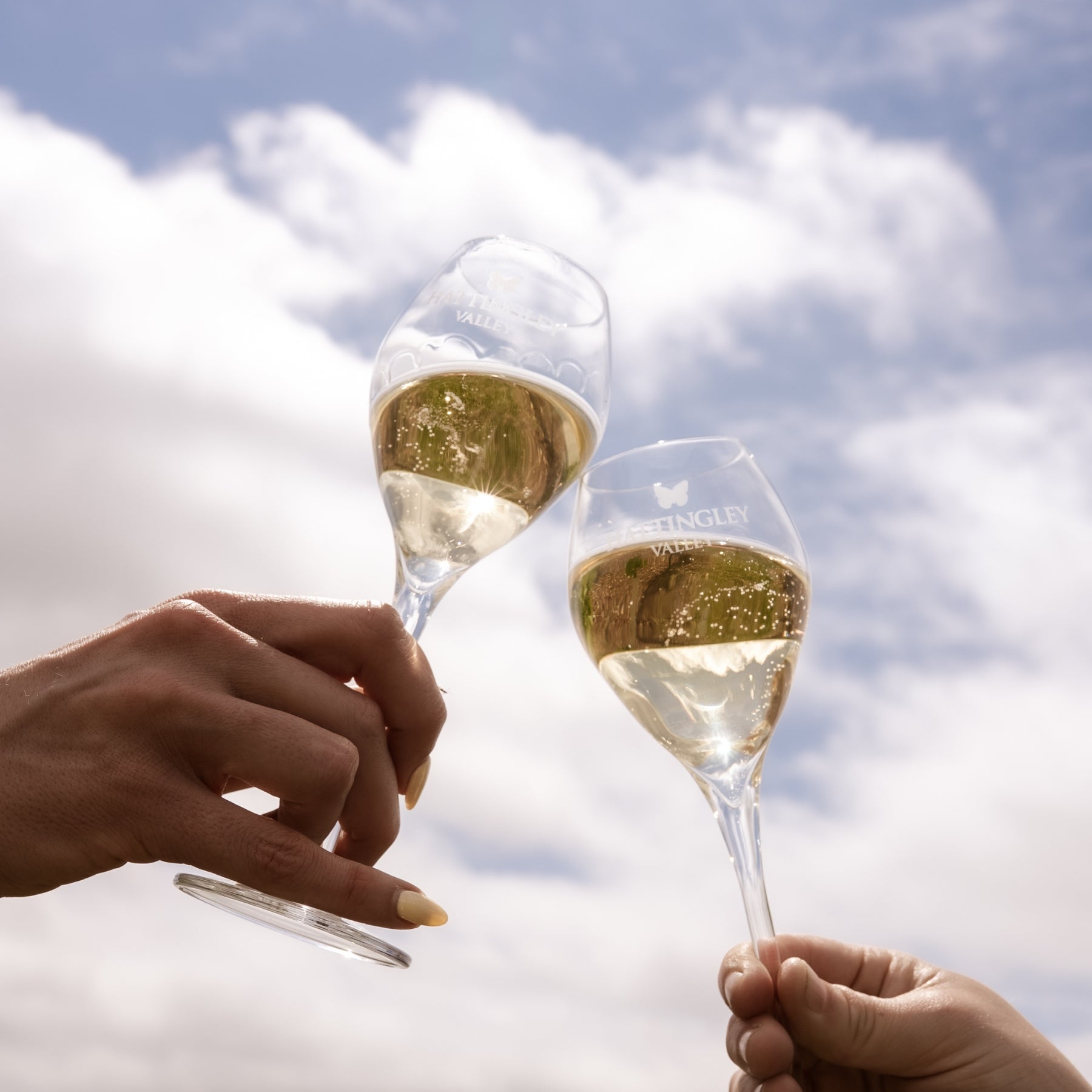 Two people clinking champagne glasses against a cloudy sky, glasses have the Hattingley Valley English Sparkling wine logo on them 