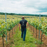 Colin vineyard manager, visit the vineyard this June