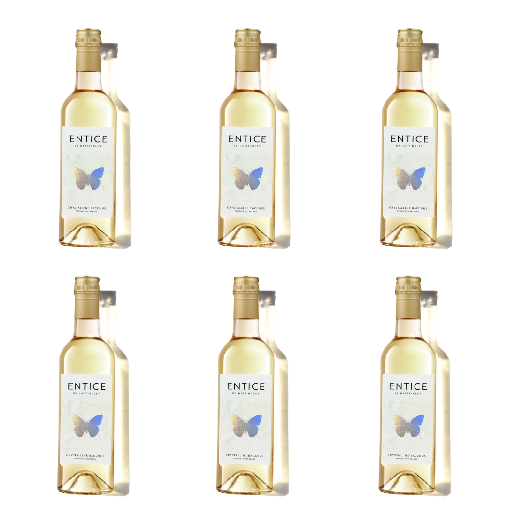 Six bottles of Entice white wine arranged in two rows on a white background