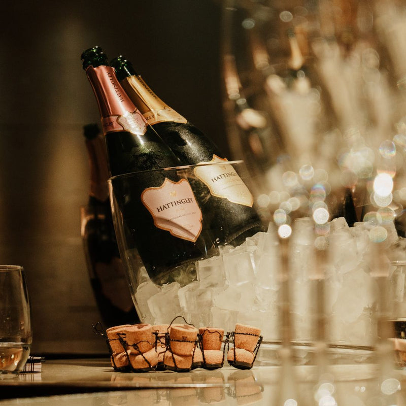 Taste the Hattingley Valley range, English Sparkling Wine Portfolio, chardonnay, pinot noir, pinot meunier, English sparkling Rosé english rose, Classic Reserve, wine tasting champagne bottle, champagne glass