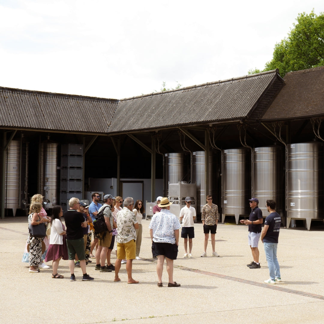 Hattingley Valley Tour and Tasting Experience Visit our Hampshire Winery, visit our winery and take a look behind the scenes of one of Englands largest working wineries. Image of a large group of tour guests with our tour guide on a sunny day in our winery yard with large steel fermentation tanks behind.