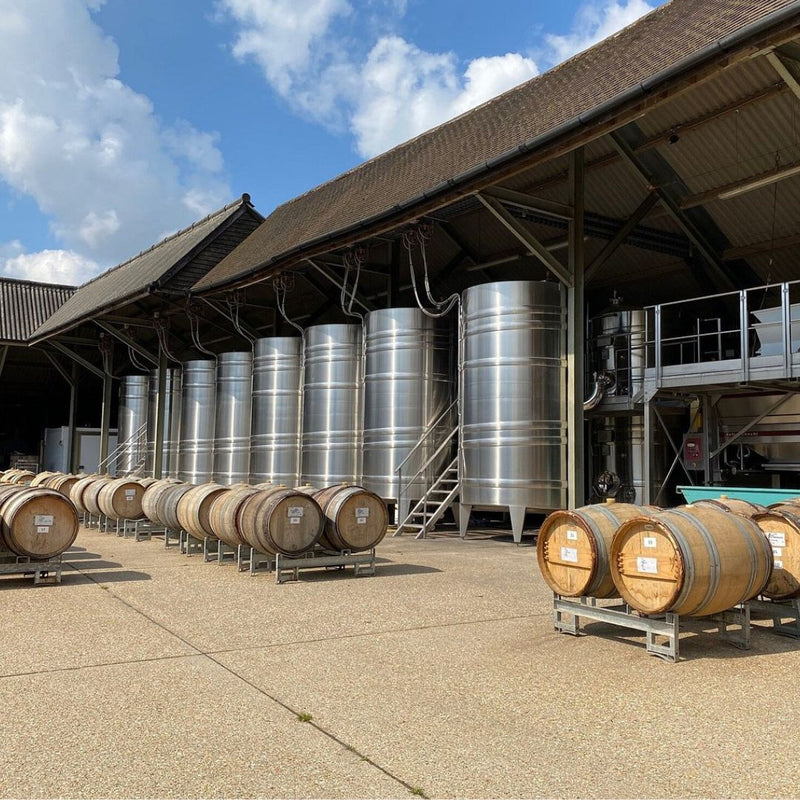 Visit the Hattingley Valley Winery, winery near me, tour and tasting experience, vineyard near me 