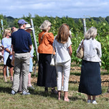 Group of people standing in a vineyard in summer clothing 