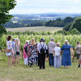 Group of people standing in a vineyard looking at the landscape