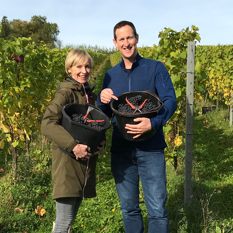Image of Susie and Peter in the vineyard each holding a bucket of harvested grapes, they stand beside one another, looking at the camera smiling